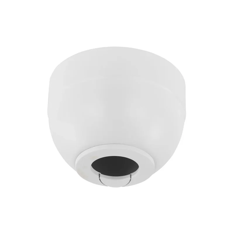 beeslighting32649254