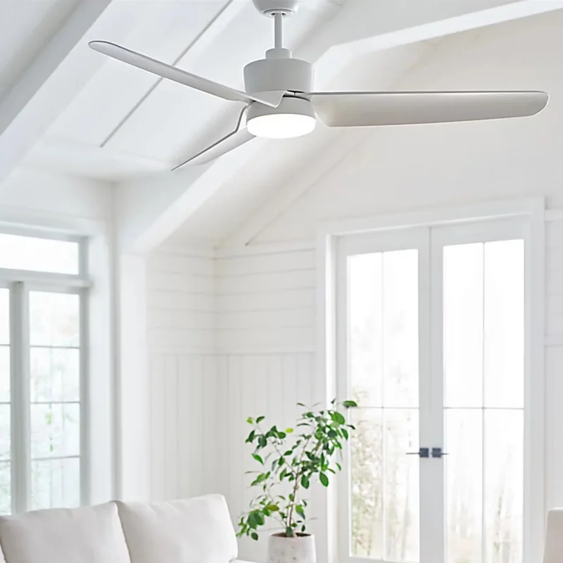 beeslighting32649648