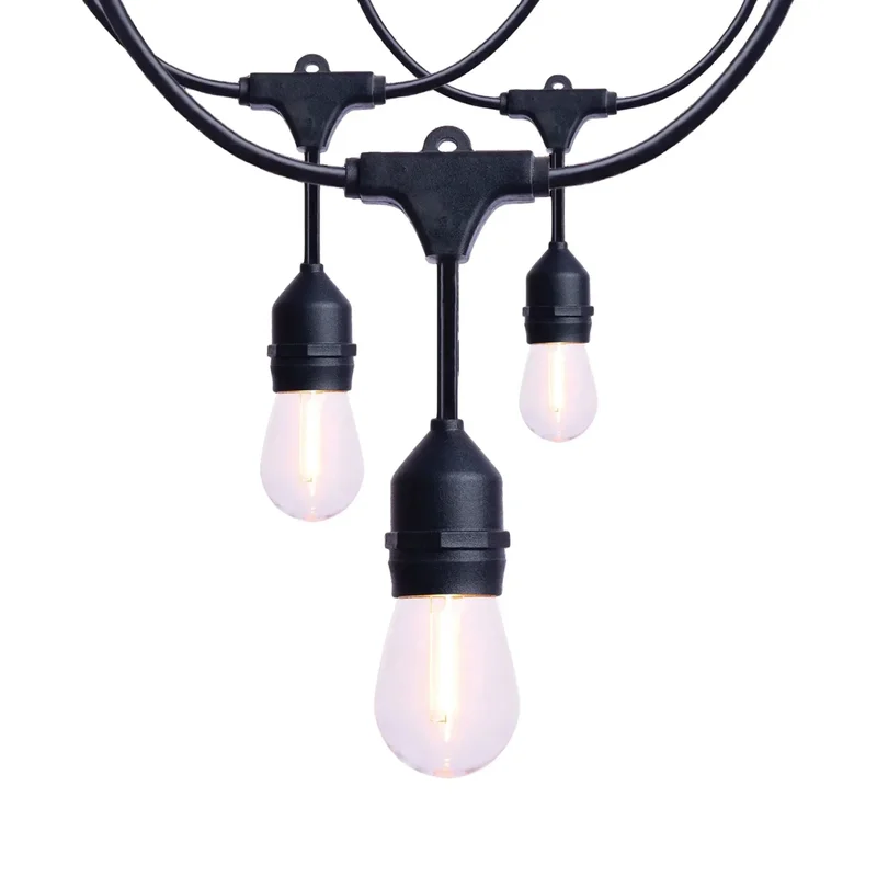 beeslighting32650344