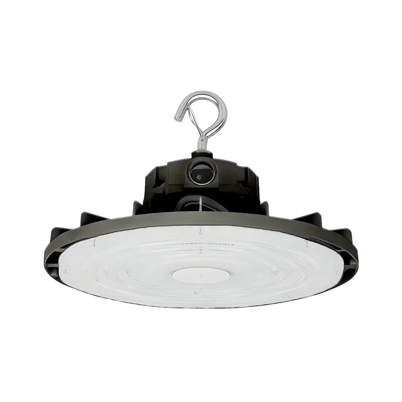 beeslighting32653602