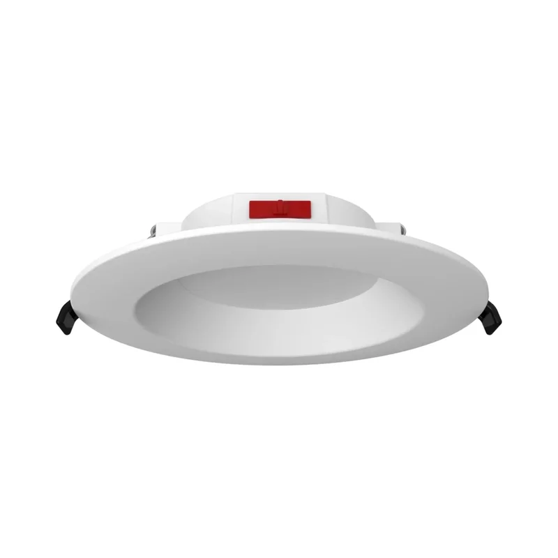 beeslighting32656694