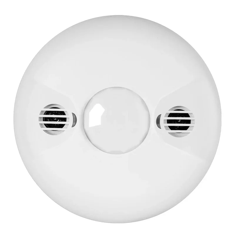 beeslighting32657328