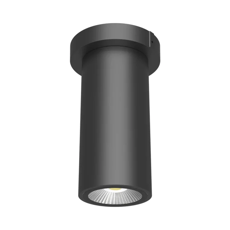 beeslighting32658849