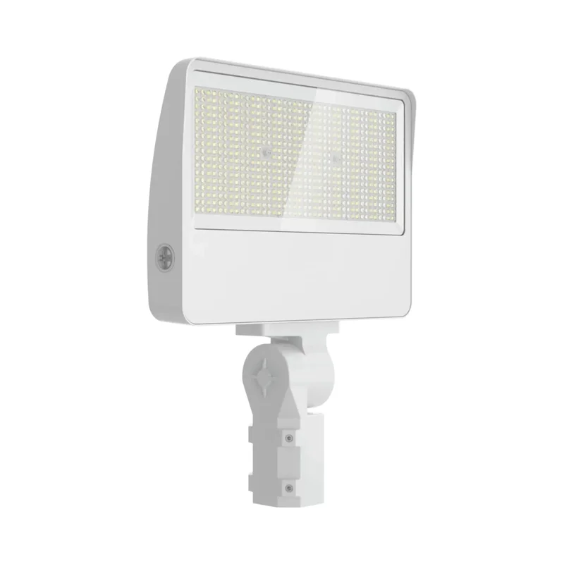 beeslighting32659727