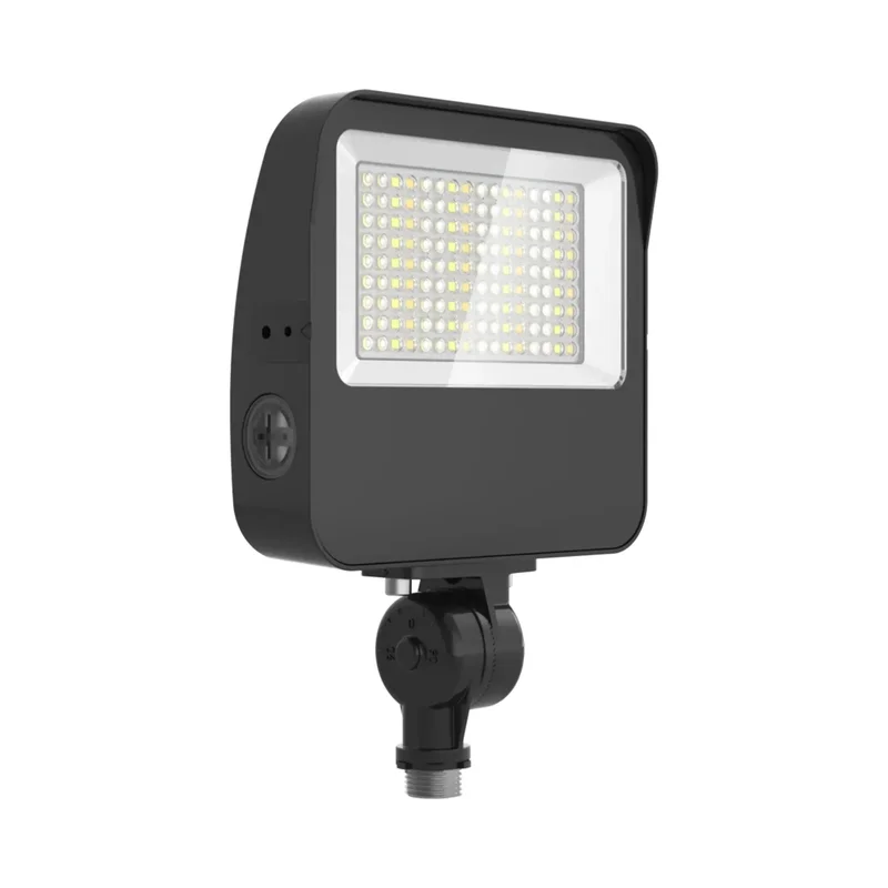 beeslighting32659786