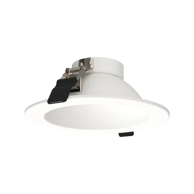 beeslighting32660421