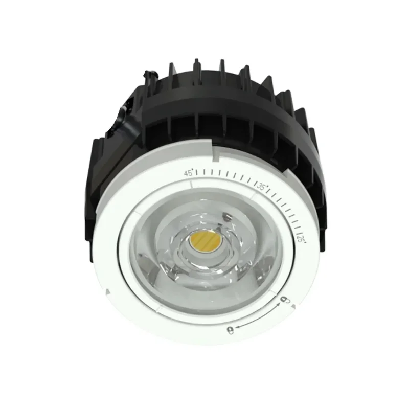 beeslighting32660583