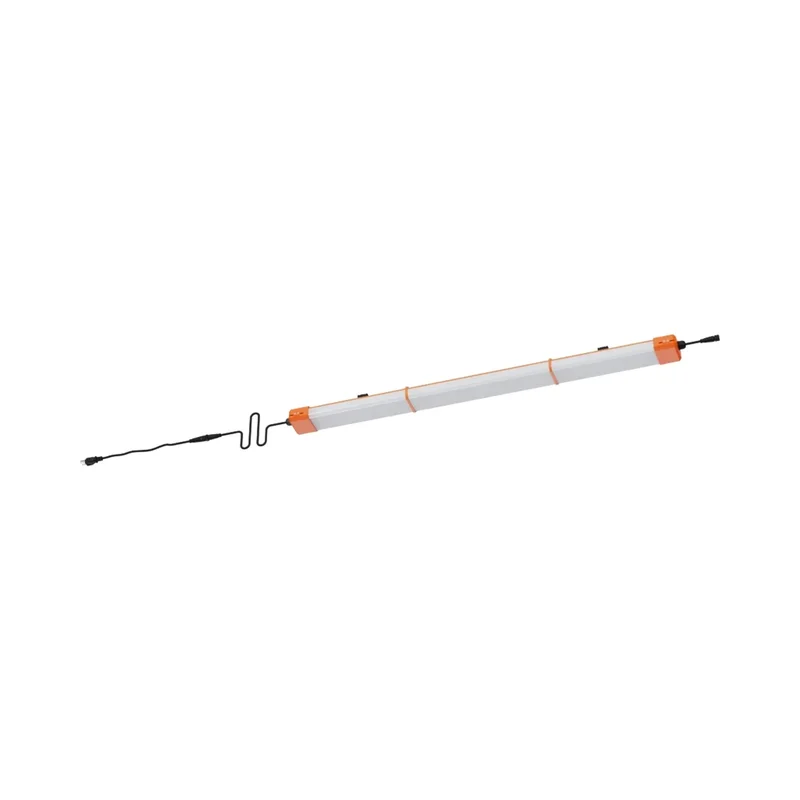 beeslighting32660756