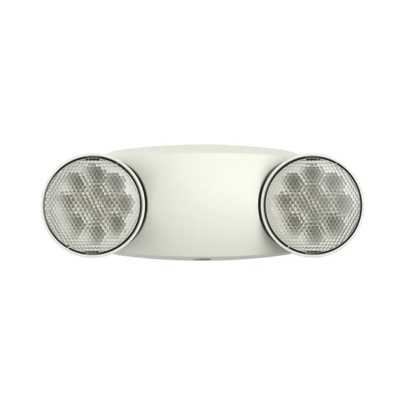 beeslighting32660776