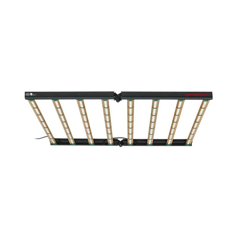 beeslighting32661181