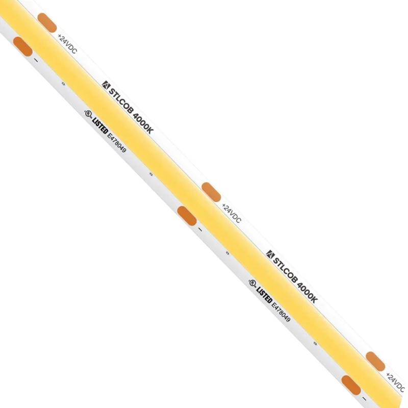 beeslighting32661258