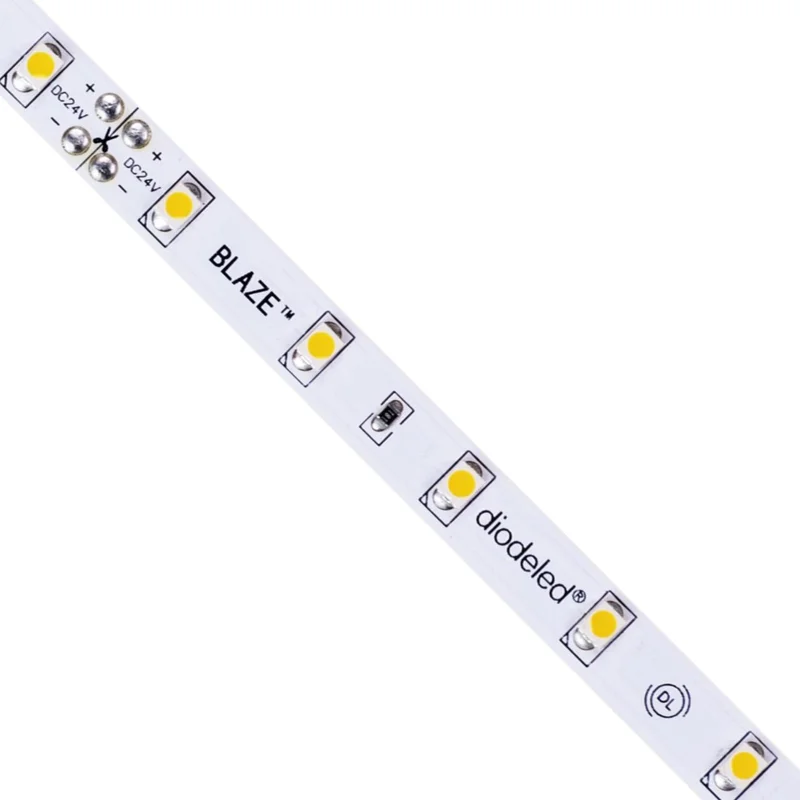 beeslighting32661336