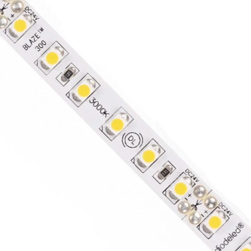 beeslighting32661407