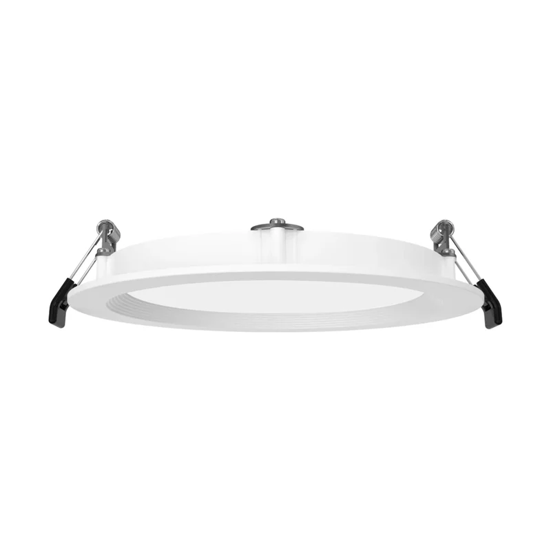 beeslighting32661619
