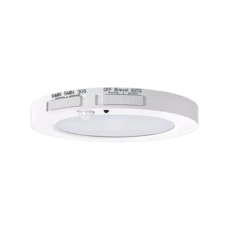 beeslighting32661627