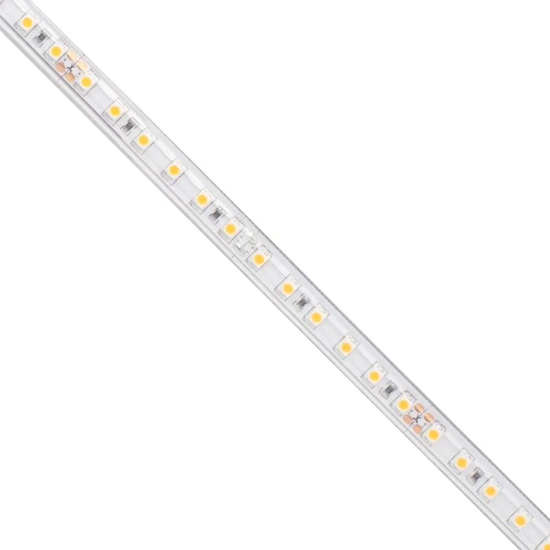 beeslighting32662036