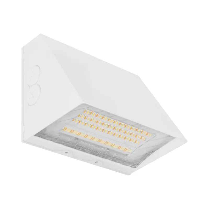 beeslighting32662738