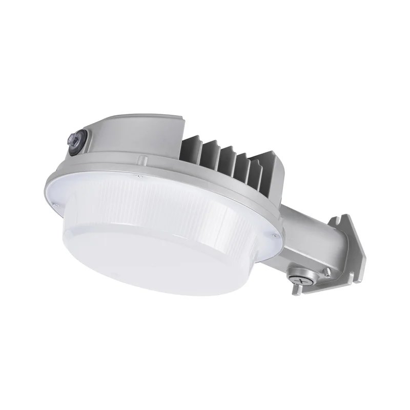 beeslighting32662809