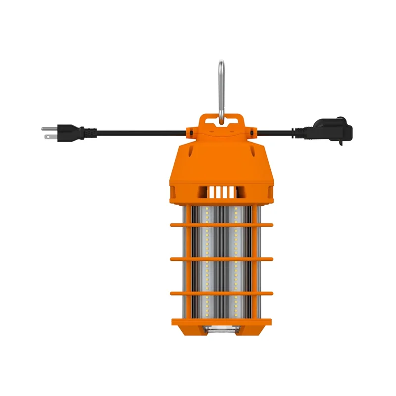 beeslighting32662847