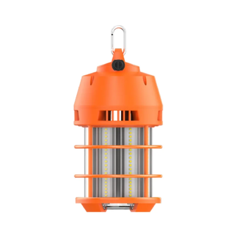 beeslighting32662857