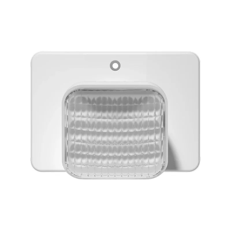 beeslighting32662867