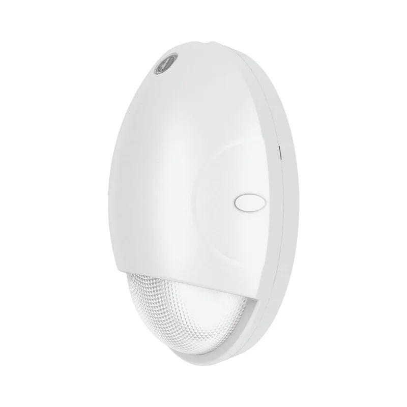beeslighting32664491