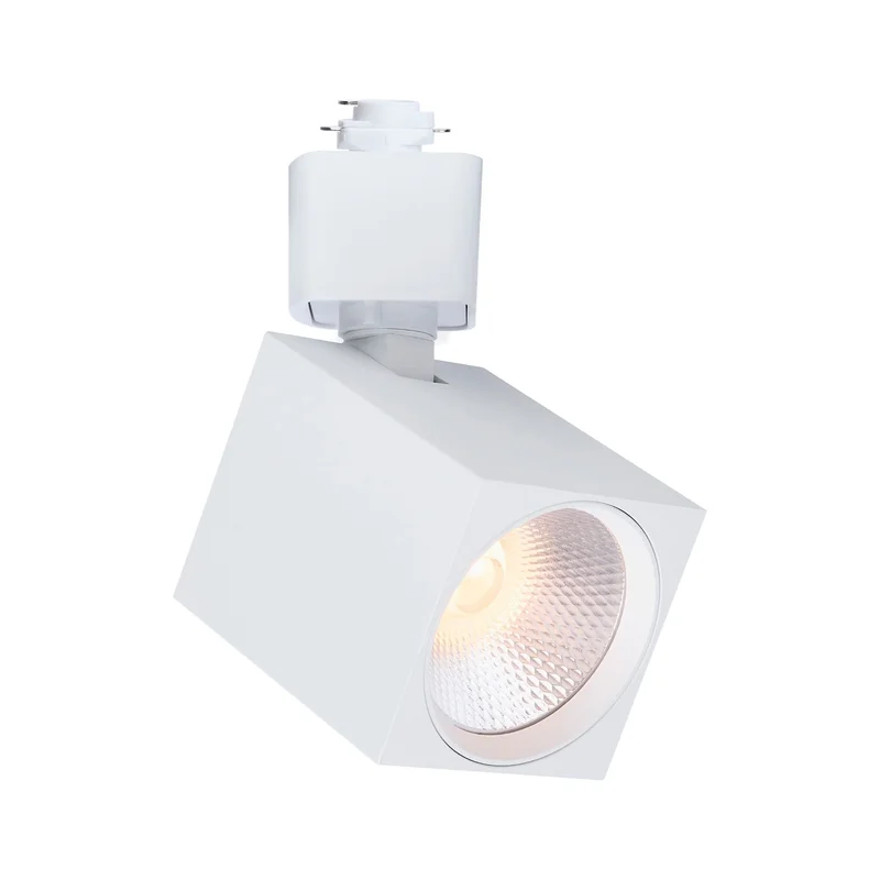 beeslighting32664553