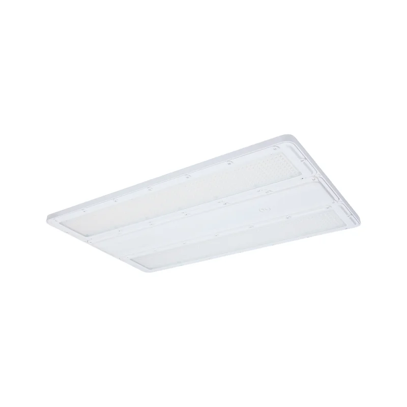 beeslighting32666483