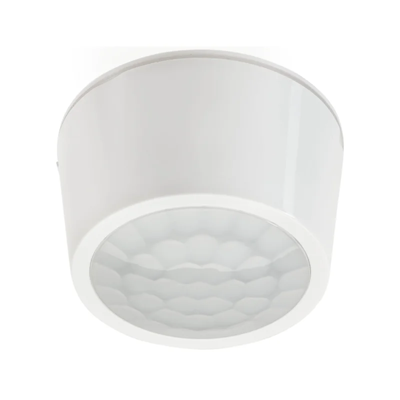 beeslighting32666524