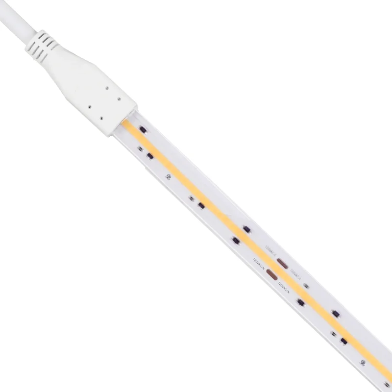 beeslighting32666859