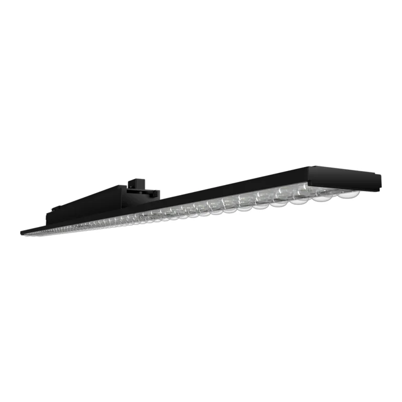 beeslighting32667975