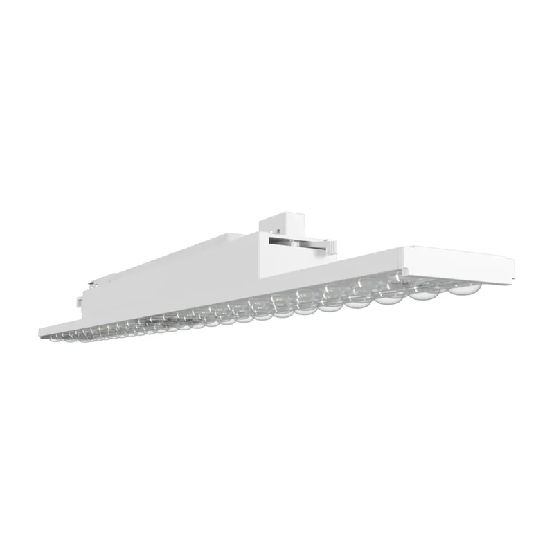 beeslighting32668046
