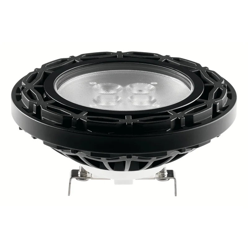 beeslighting32668796