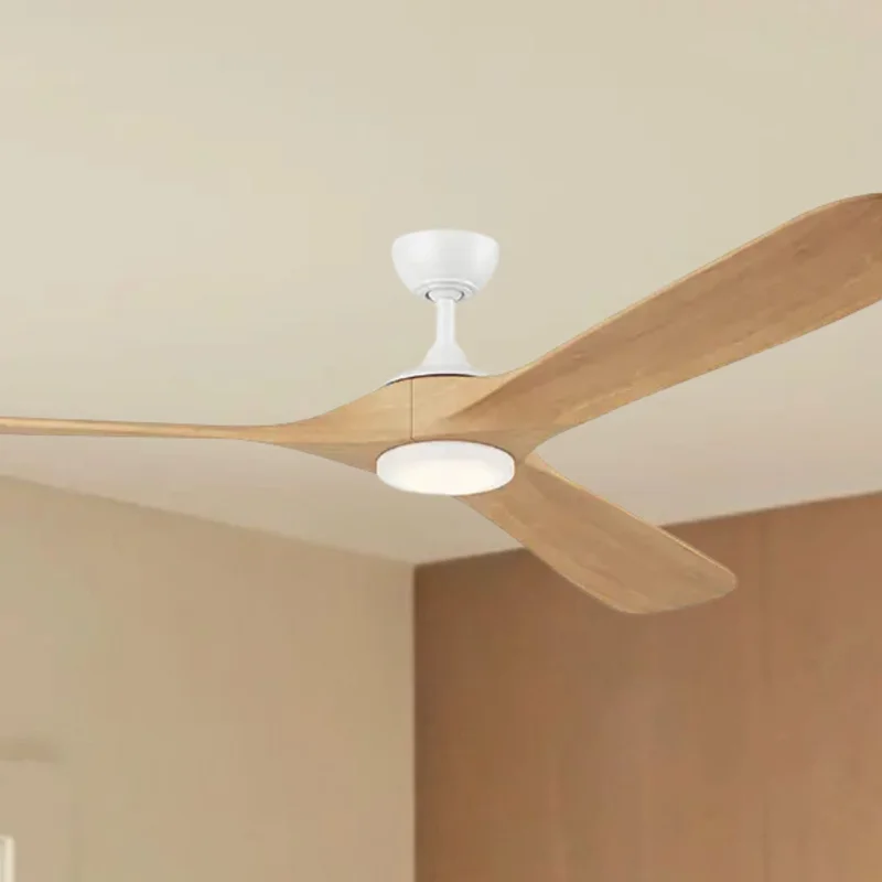 beeslighting32669024