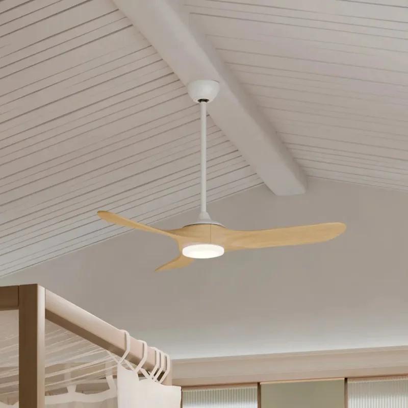 beeslighting32669095