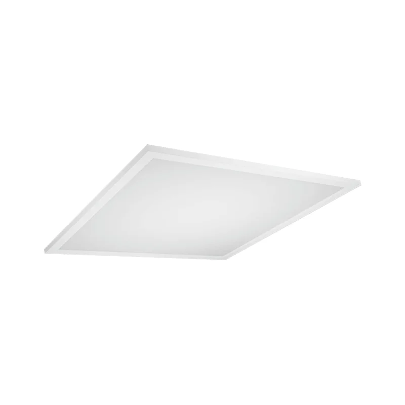 beeslighting32669493