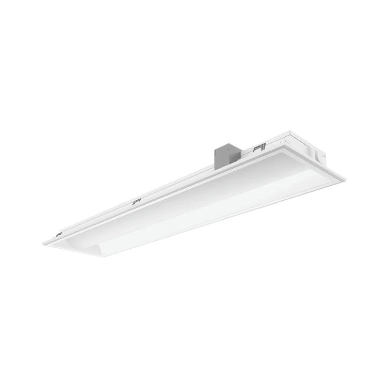 beeslighting32669743