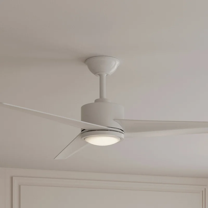 beeslighting32669968