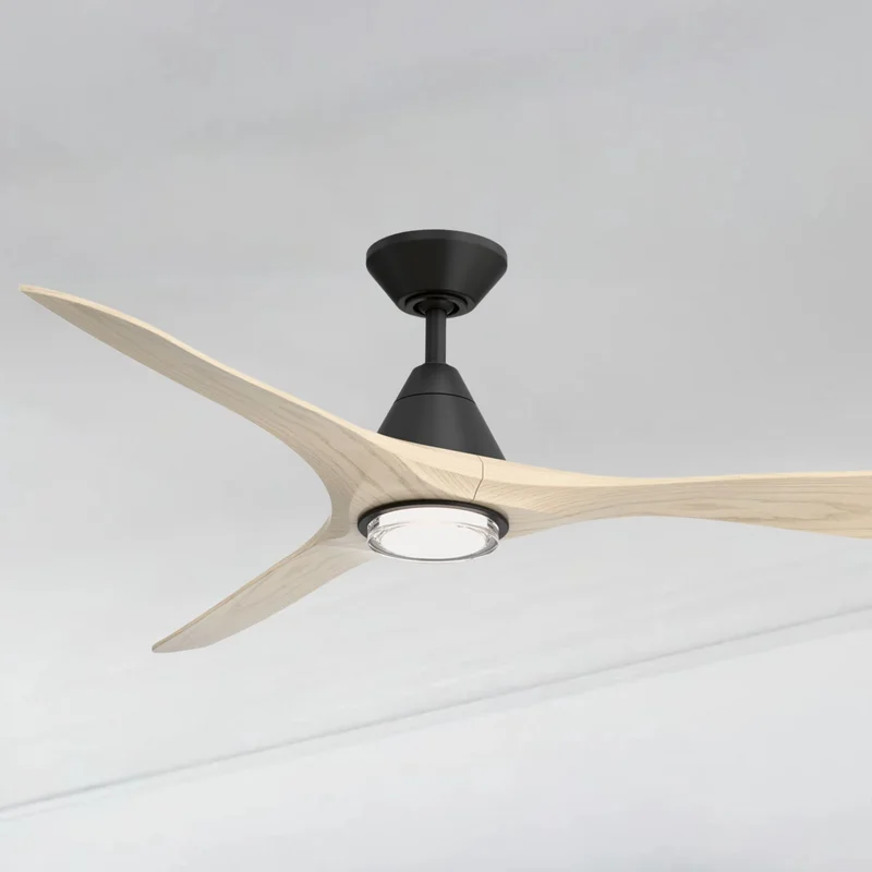 beeslighting32670852