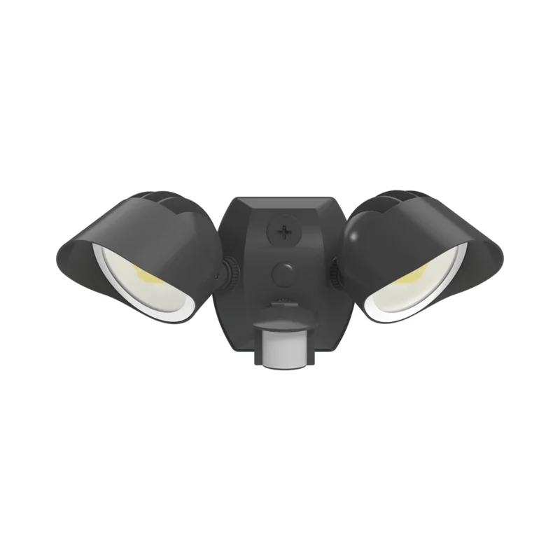 beeslighting32672159