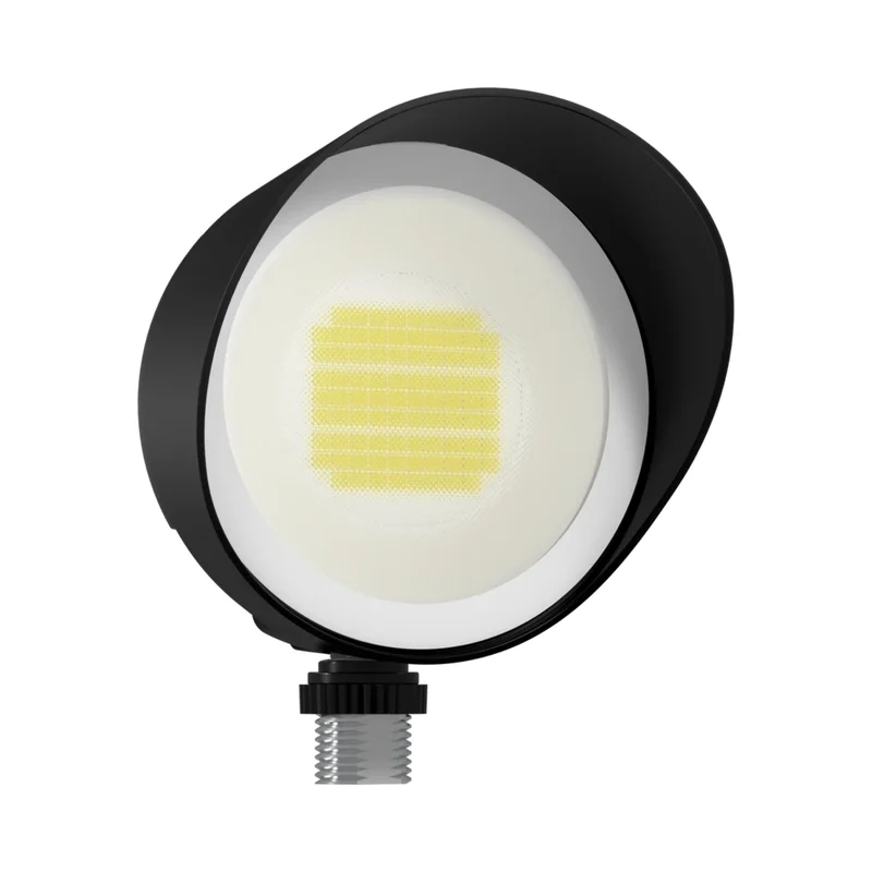 beeslighting32672214