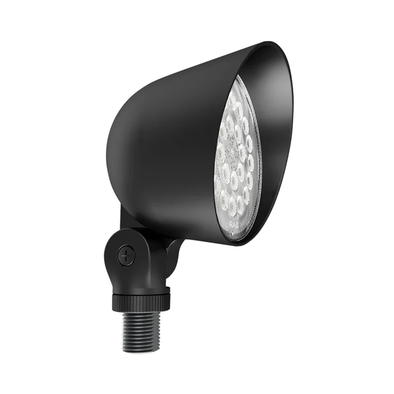 beeslighting32672257