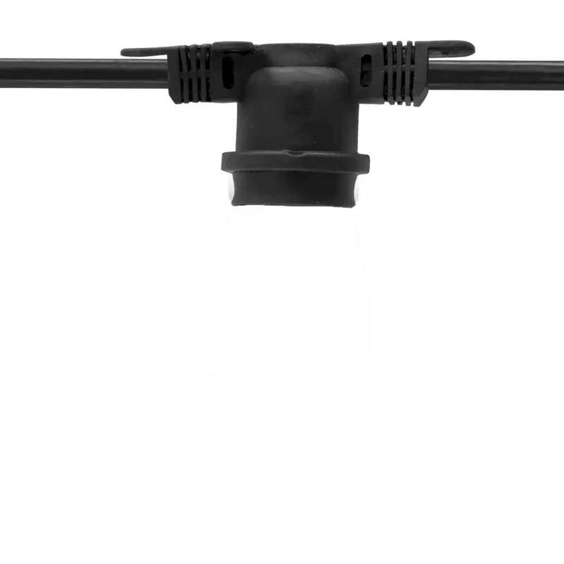 beeslighting32672647