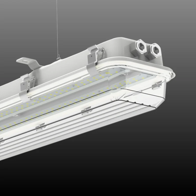 beeslighting32672740