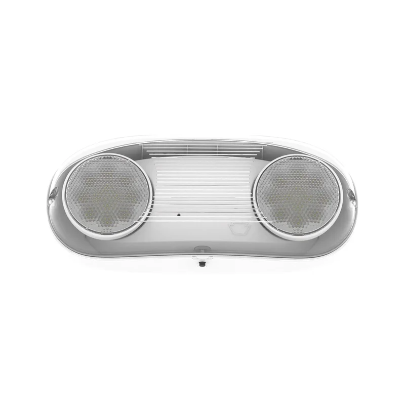 beeslighting32689919