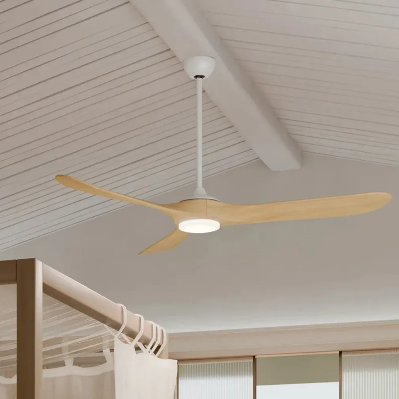 beeslighting32692268