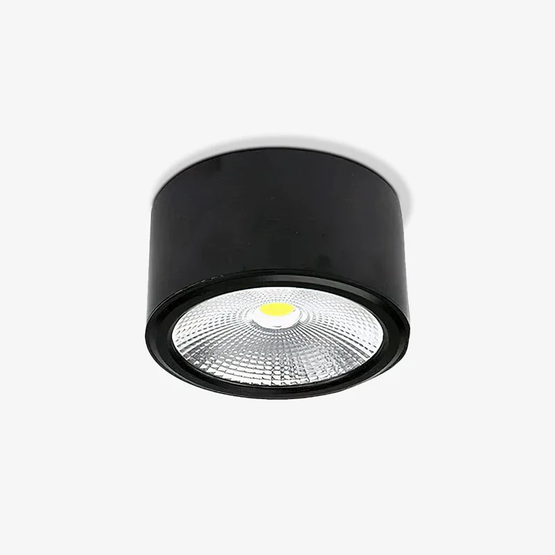 blowlighting2460371