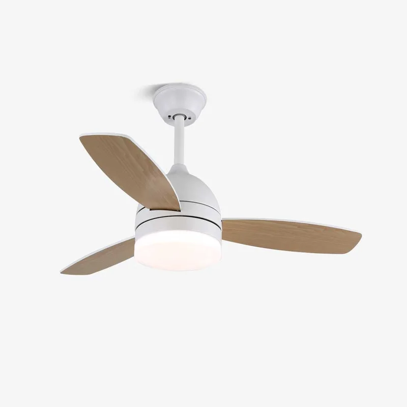 blowlighting2463699
