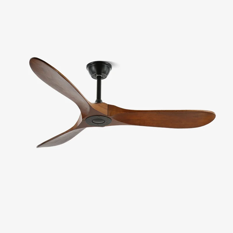 ceenli2550068