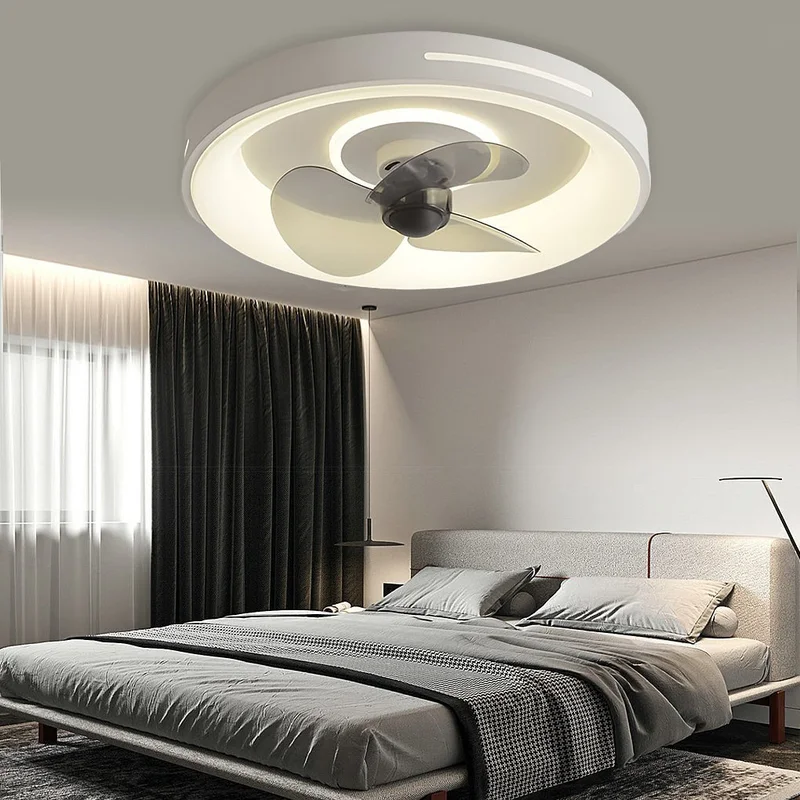dazuma2529545